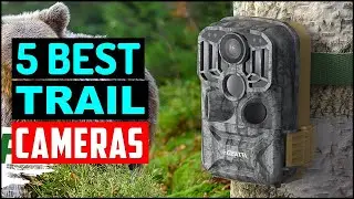Top 5 Best Trail Cameras 2024 | 4K Trail Camera, Reviews