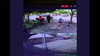 An Unusual attack on the Field Security offices in Marloth Park