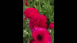 Для хорошего настроения