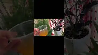 If you use this method/Если вы используете этот метод