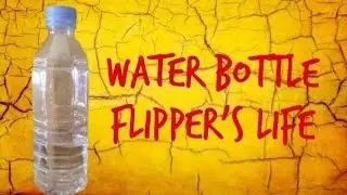 Water Bottle Flip's Life Plastic Water Bottles
