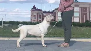 7 августа 2021 г.