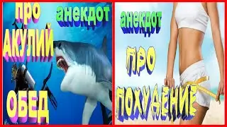 Два анекдота про акул и про похудение | улётный юмор | ZINTARI TV