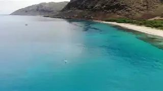 Spinner Dolphins of Hawaii (HD DJI MAVIC AIR Video)