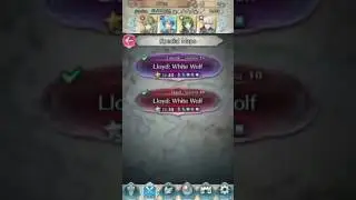 FE Heroes Lloyd Lunatic