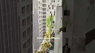 plant styling projects part 1 in surat #plantdecor #greenproject #surat