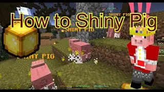 Shiny Pig Hunting (Hypixel Skyblock)