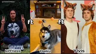 The Kiffness X Haiku The Husky X Ylvis - Ancient Husky and Fox Melody