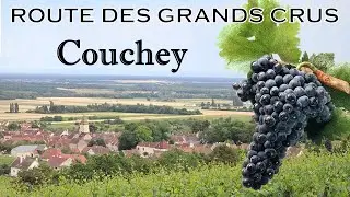Route des Grands Crus : COUCHEY