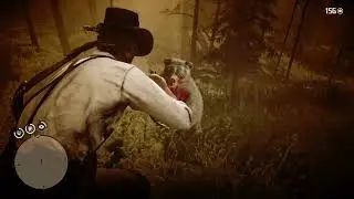 Close call