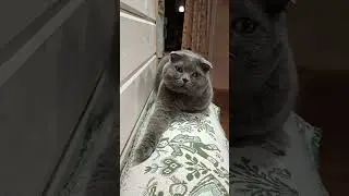 УСТАНОВКА НА СЧАСТЬЕ👍😊🤗 