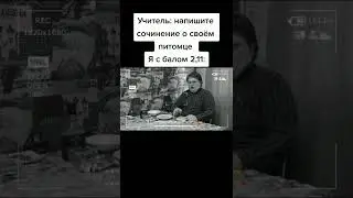 Мем из ТикТока 
