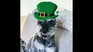 Patsy Fagan St Patrick's Day Sing-a-long