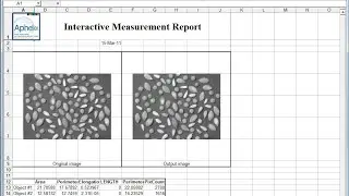 ADCIS Products : Aphelion Lab&Dev 4.0 (Image Analysis and Processing Software) : Report Generation