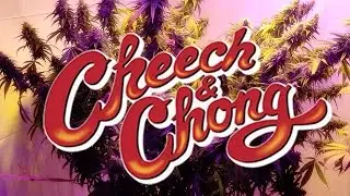 Cheech e Chong Queimando Td dublado