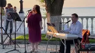 Ромашковые поля.