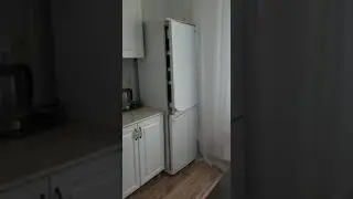 1 ком. Морская Горгиппия