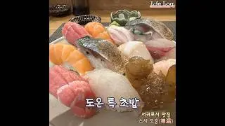 제주도 서귀포시 스시 초밥 맛집 도온(導温) #서귀포맛집 #스시 #제주도맛집 #초밥 #서귀포초밥 #찐맛집
