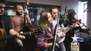 Sierra Hull - Don't Pick Me Up [Live at WAMU's Bluegrass Country]