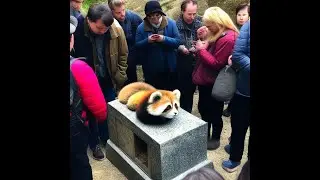 ГРУППОВЫЕ походы к пОнде 💐💐💐
