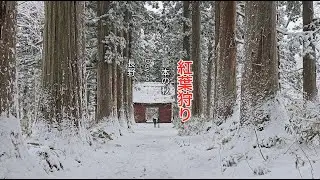 Japan Autumn 2024 - Day 6 (Nagano)