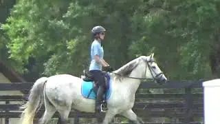 Karla.CustomSaddlery 1