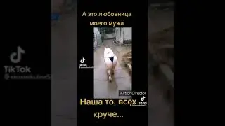 Тик Ток:Любовница мужа