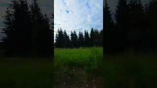 ранее утро 