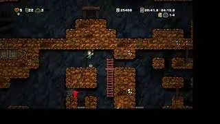 PLT - Spelunky 03/08