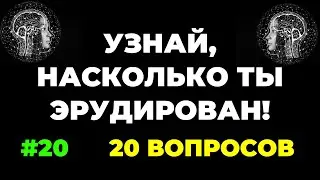 УЗНАЙ, НАСКОЛЬКО ТЫ ЭРУДИРОВАН (ТЕСТ) #20 
