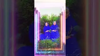 New||Qsida||Nane da Deen bchaya ay.Azra Batool & Zeba Batool 2024