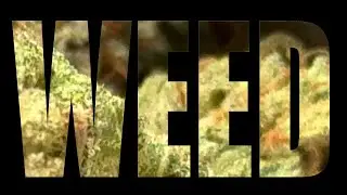 WEED PSA 'Mockumentary' commercial