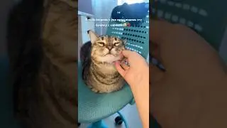 Моя сладкая булочка с корицей💋💋💋