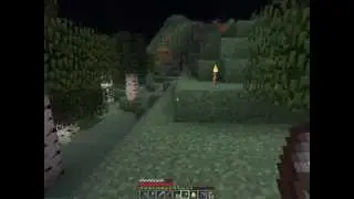 Вновь начинаем играть в MineCraft !!