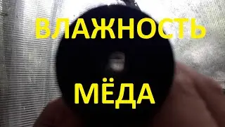 Качество мёда.