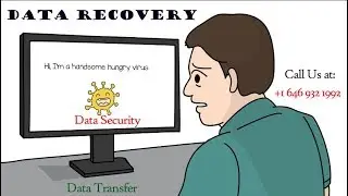 Data Recovery and Transfert Services