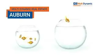 Multi Dynamic Property Management Service.