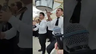Что эти ребята вытворяли на свадьбе, все в шоке остались 2