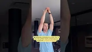 How To Shoulder Shrug Properly #shorts