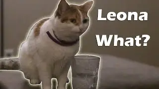 Leona! What Are You Doing?