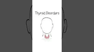 The Thyroid Explained #healthsketch #shorts