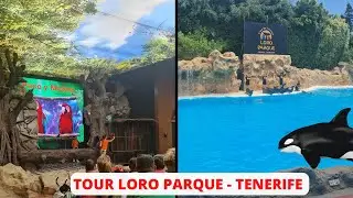 LORO PARQUE TENERIFE - ZOO TENERIFE