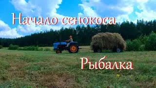 Сенокос 2021. Начало. Быки убежали // Деревенские будни