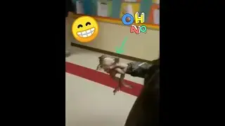 أجمل المقالب في العالم تعال لا تفوتك _ الجزء 2