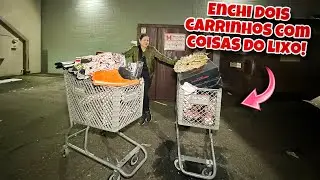 Enchi dois carrinhos com coisas novas do lixo dos Estados Unidos!🇺🇸