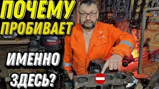 БОЛЕЗНЬ ДВИГАТЕЛЯ МЕМЗ 317
