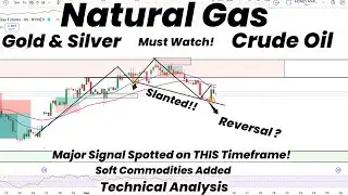 Natural Gas Reversal? Major Signal Spotted on THIS Timeframe! | Gold, Silver, Crude Oil Analysis
