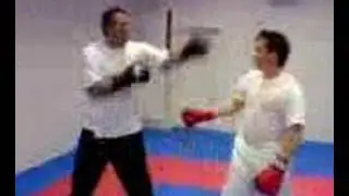Cheyne v Shamu (Shaun)