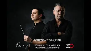 Fidelity - Bahçada Yeşil Çınar