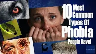 10 Most Common Types Of Phobia People Have!